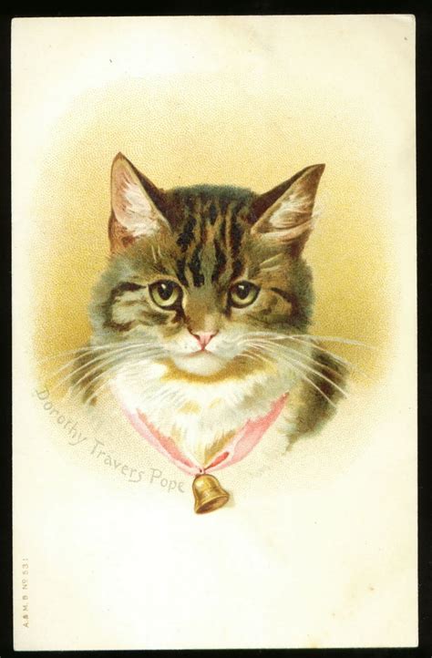 Vintage Cat Postcard - Daily Sex Book