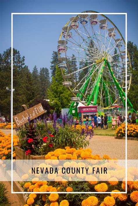 Nevada County Fair Outside Inn Nevada County Grass Valley County Fair