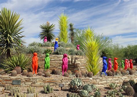 Botanical Garden In Phoenix Arizona | Fasci Garden