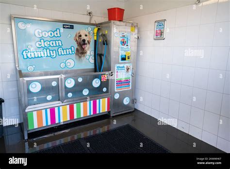 Self Service Pet Wash Station Adelaide Australia Stock Photo Alamy