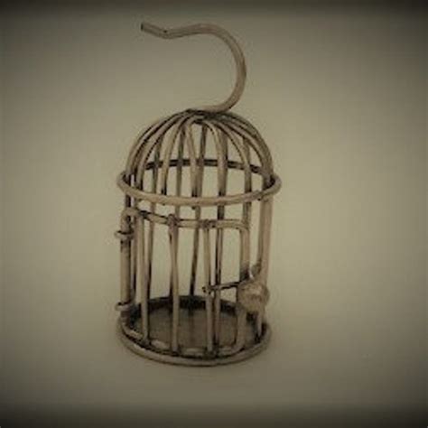 Mini Bird Cage - Etsy