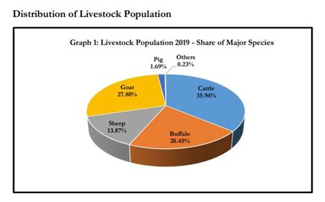 The Cattle Population In India Increased By 18 Percent