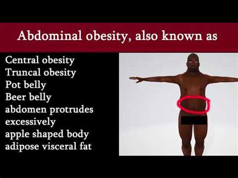 How To Remove Belly Fat Beer Belly And Pot Belly What Is Abdominal