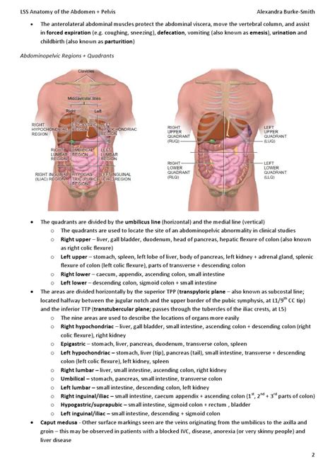 Anatomy Quadrants - Abdominal Pain Causes By Location Stomach Anatomy ...