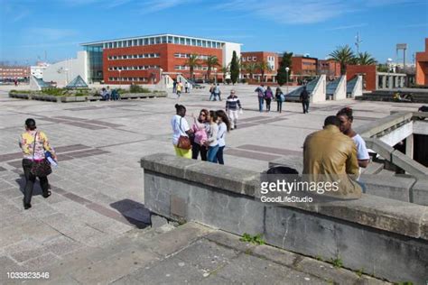 84 Aveiro University Stock Photos, High-Res Pictures, and Images ...