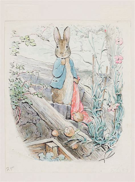 In Pictures: See Beloved Author Beatrix Potter’s Magical Drawings From Nature as They Go on View ...