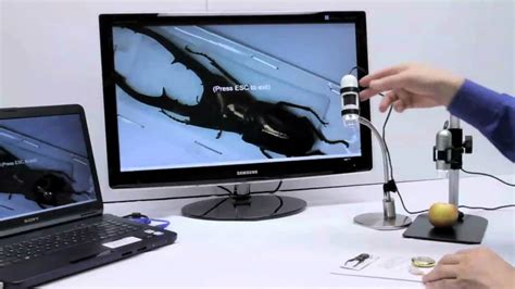 How To Use Dino Lite Digital Microscope At Loren Nadler Blog