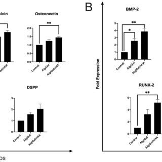 The Expression Levels Of Osteogenic Differentiation Gens Of HDPSCs