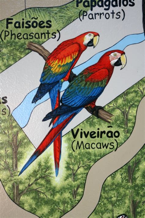 Parque das Aves Map and Children’s Mural – Robyn Abrey Art