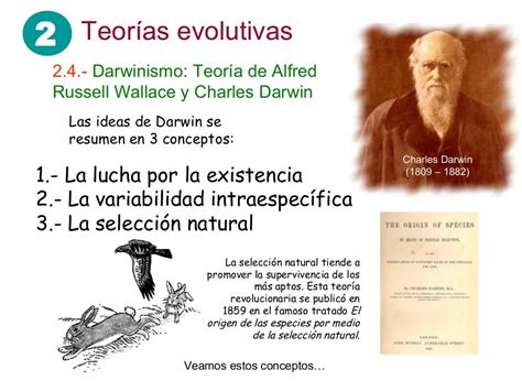 Presentación Tema 5 Evolución I