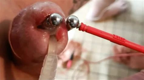 E Stim In Piercing Pa And Anal Cum Ejac With Catheter Inside Cock Gay Porn XHamster