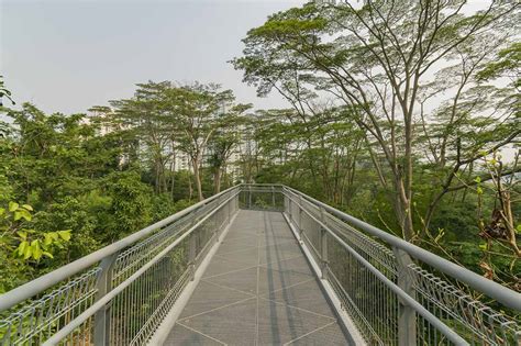 Exploring the Southern Ridges Walking Trail, Singapore