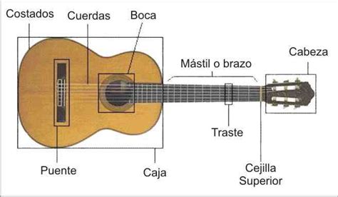 Vadear Cooperativa Legado Las Partes De La Guitarra Espa Ola T