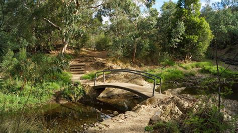 Darebin Parklands – Short Hike – Take Shape Adventures