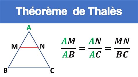 Le Th Or Me De Thal S Un Pilier Fondamental De La G Om Trie Eco