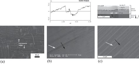 SEM images of similar deformation features near lamellar interfaces ...