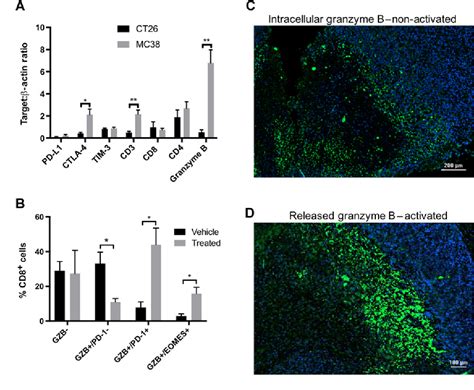 PDF The Effectiveness Of Checkpoint Inhibitor Combinations And