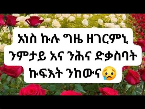 Mgbey Mgbey uoy tube is liveአነስ ዘገርምን ነገር ምታይ አና ንሕና ድቅ ስባት ክፍአት ንከውኒ