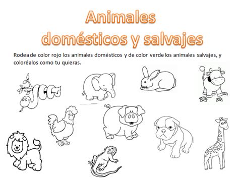 Animales Domésticos Y Salvajes Actividades