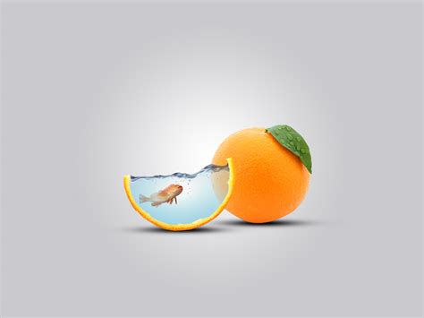 WATER FRUIT :: Behance