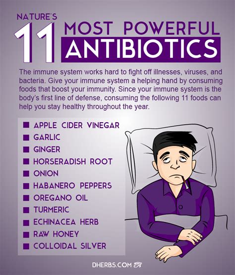 Infographic: Nature's 11 Most Powerful Antibiotics - Dherbs - The Best ...