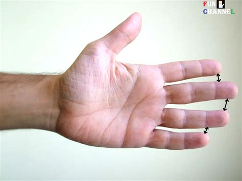 Space Or Gaps Between The Fingers And Your Personality Palmistry