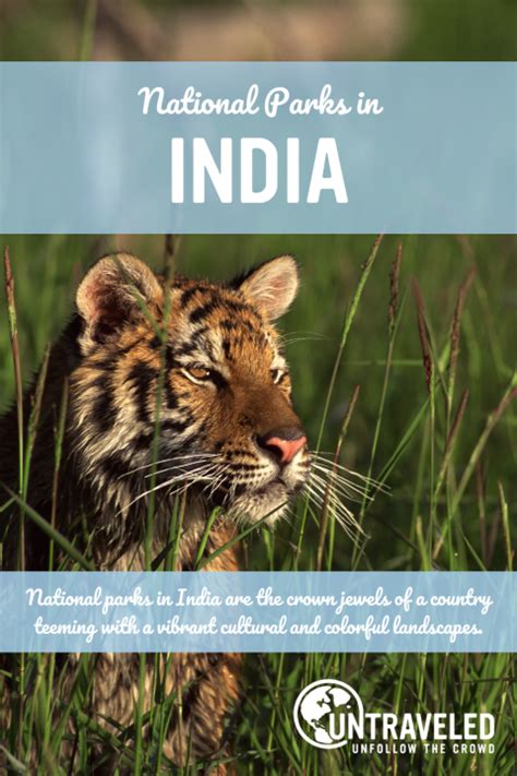 National Parks in India - untraveled.com