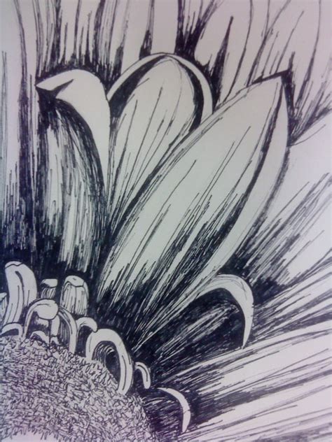 Fine Liner Flowers Again Lots Of Detail Primary Observation Dont Forget To Have Primary And