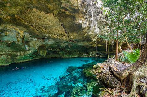 Los 10 Mejores Cenotes Cerca De Tulum ¿a Dónde Ir A Nadar Cerca De