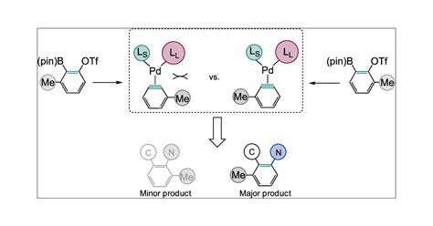 Ligand Induced Regioselectivity In Metal Catalyzed Aryne Reactions