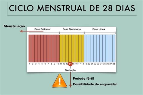 CICLO MENSTRUAL