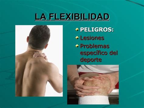 LA FLEXIBILIDAD PPT