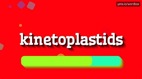 KINETOPLASTIDS - HOW TO PRONOUNCE IT!? - YouTube