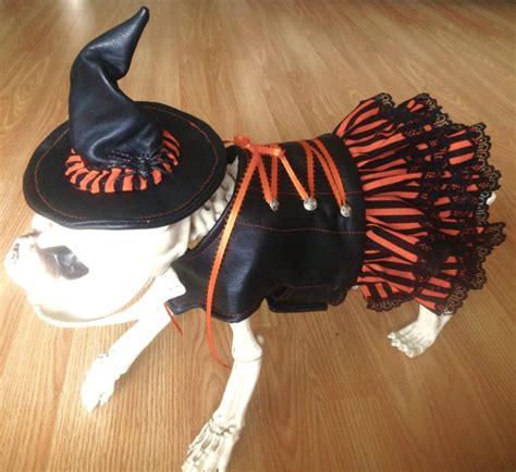 Witch Dog Costume