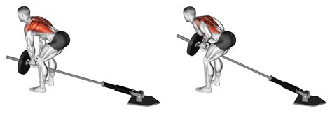 6 Best Types Of Barbell Row Variations With Pictures Inspire Us