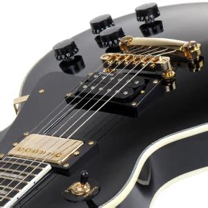 Rocktile Pro L Bk Deluxe Chitarra Elettrica Black Amazon It