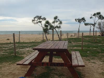 Som De P Cnic Rea De P Cnic De La Platja D Arenys De Mar Maresme