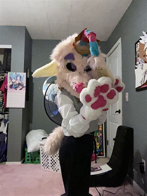 Fursuit Partial Comes With Head,tail, and Paws. the Head and Paws Are ...