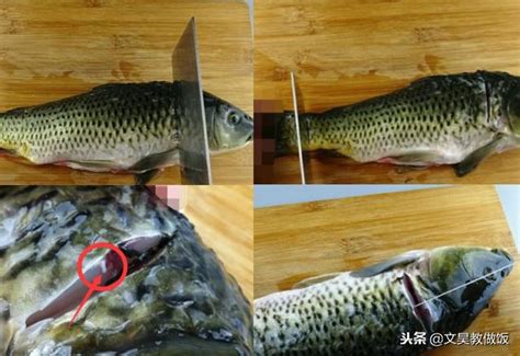 無論什麼魚，在做之前把這3處清理乾淨，不然魚肉不嫩，腥味大 每日頭條