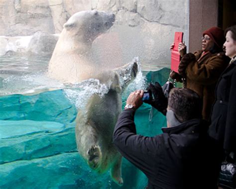 Visit Chicago Southland - Welcome BROOKFIELD ZOO CHICAGO