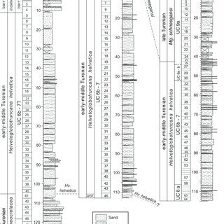 Litho And Biostratigraphy Of Tdp Sites And Showing