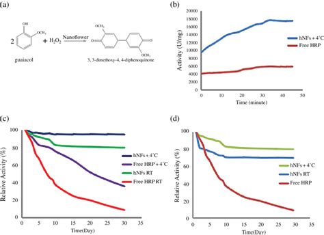 Nfs Stability And Activity And Free Hrp Enzyme Toward Guaiacol A