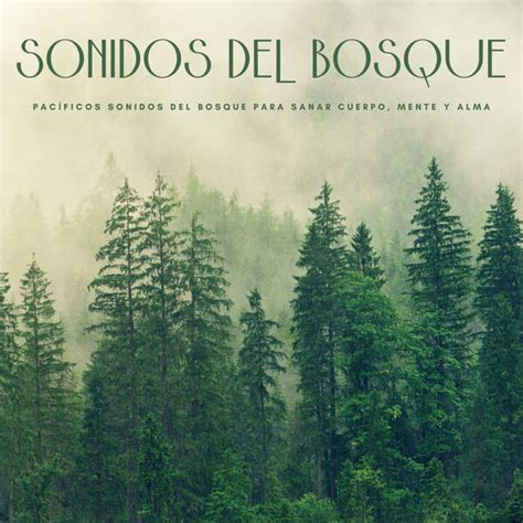 Sonidos Del Bosque Pac Ficos Sonidos Del Bosque Para Sanar Cuerpo