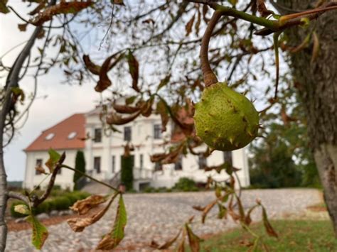 Wr Czenie Nagrody Za Wyr Nienie W Wojew Dzkim Konkursie Fotograficznym