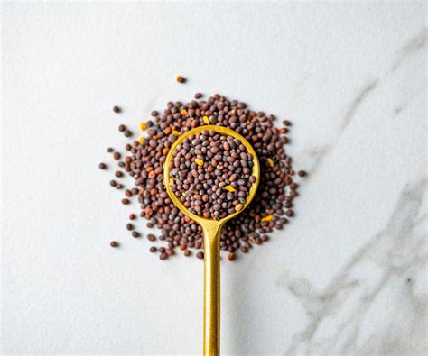 Whole Brown Mustard Seeds Seasoning | Savory Spice