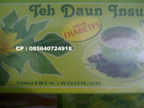 TEH DAUN INSULIN | OBAT DIABETES | OBAT HERBAL UNTUK PENYAKIT GULA ...