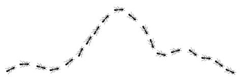 Ants Trail Curve Ant Path Isolated In White Background Vector Illustration 12894991 Vector Art