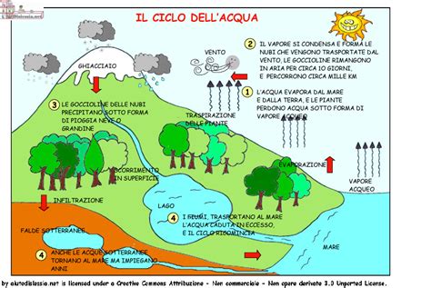 Coach Brita Il Ciclo Dell Acqua