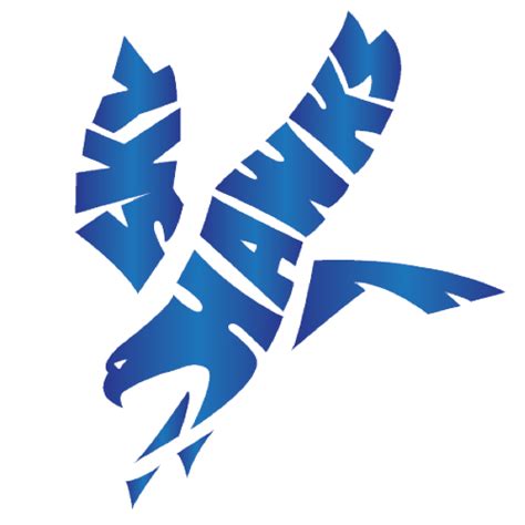 Skyhawk Bird Logo Logodix