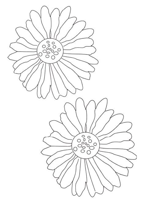 Coloriage Marguerite maternelle enfant dessin gratuit à imprimer